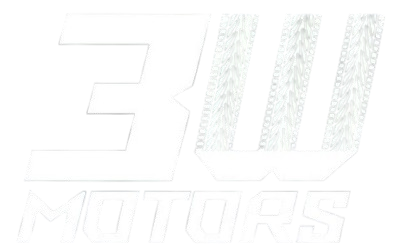 3W Motors